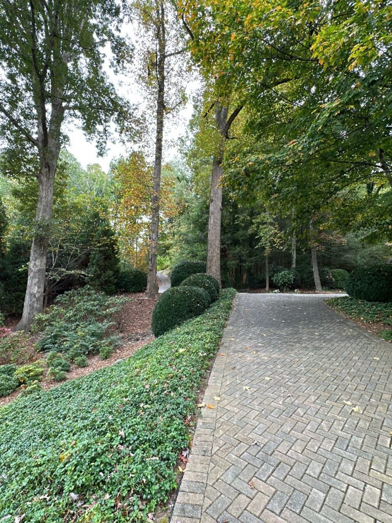 Best Paver Sealing in Asheville nc