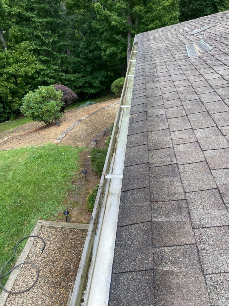 Professional Gutter Cleaning