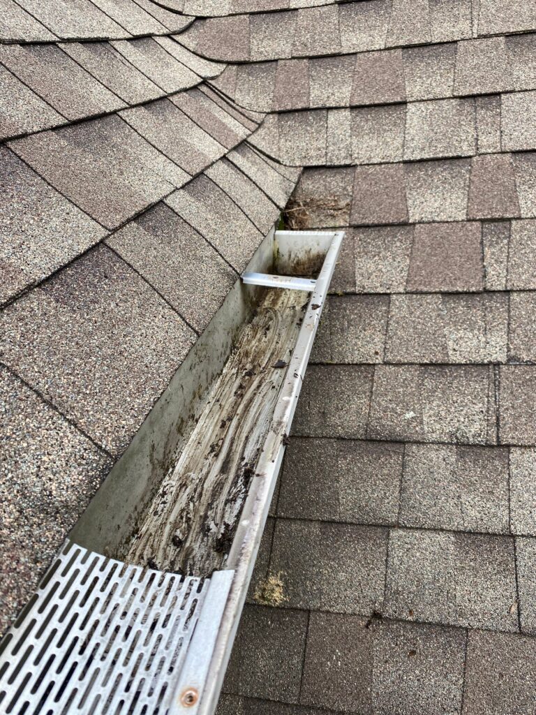 Professional Gutter Cleaning in Asheville nc