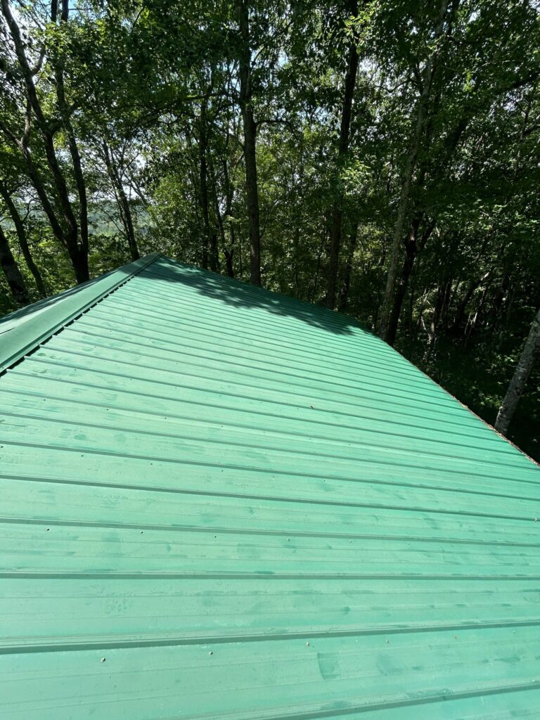 Professional Roof Cleaning Asheville