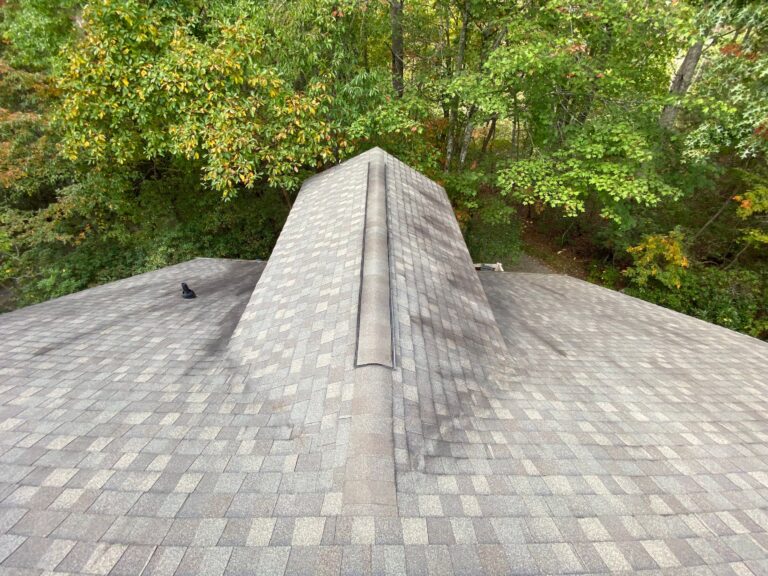 Roof Cleaning in Asheville nc