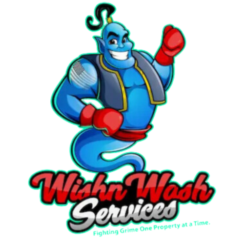 WishnWash Services Favicon