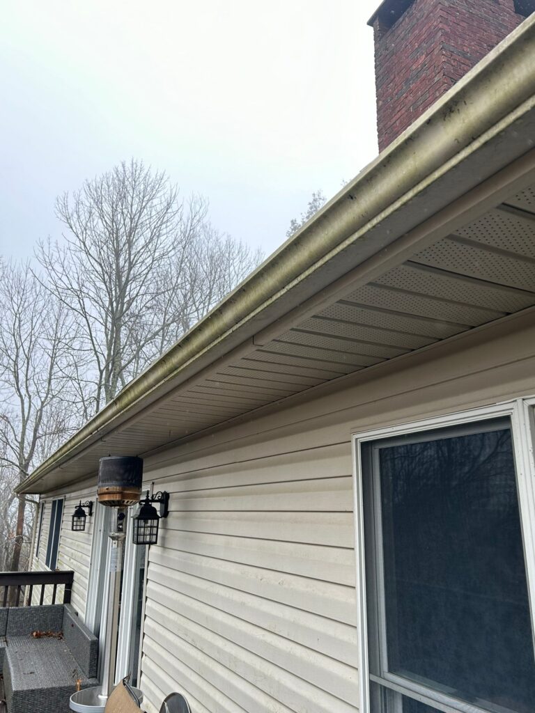 gutter cleaning