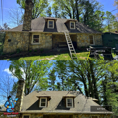 Roof Washing With Plant Protection in Marion NC