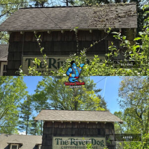 wishnwash services roof cleaning and restoration clearing debris and enhancing appearance shown in before and after views