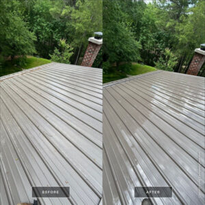 Roof Washing in Newland NC