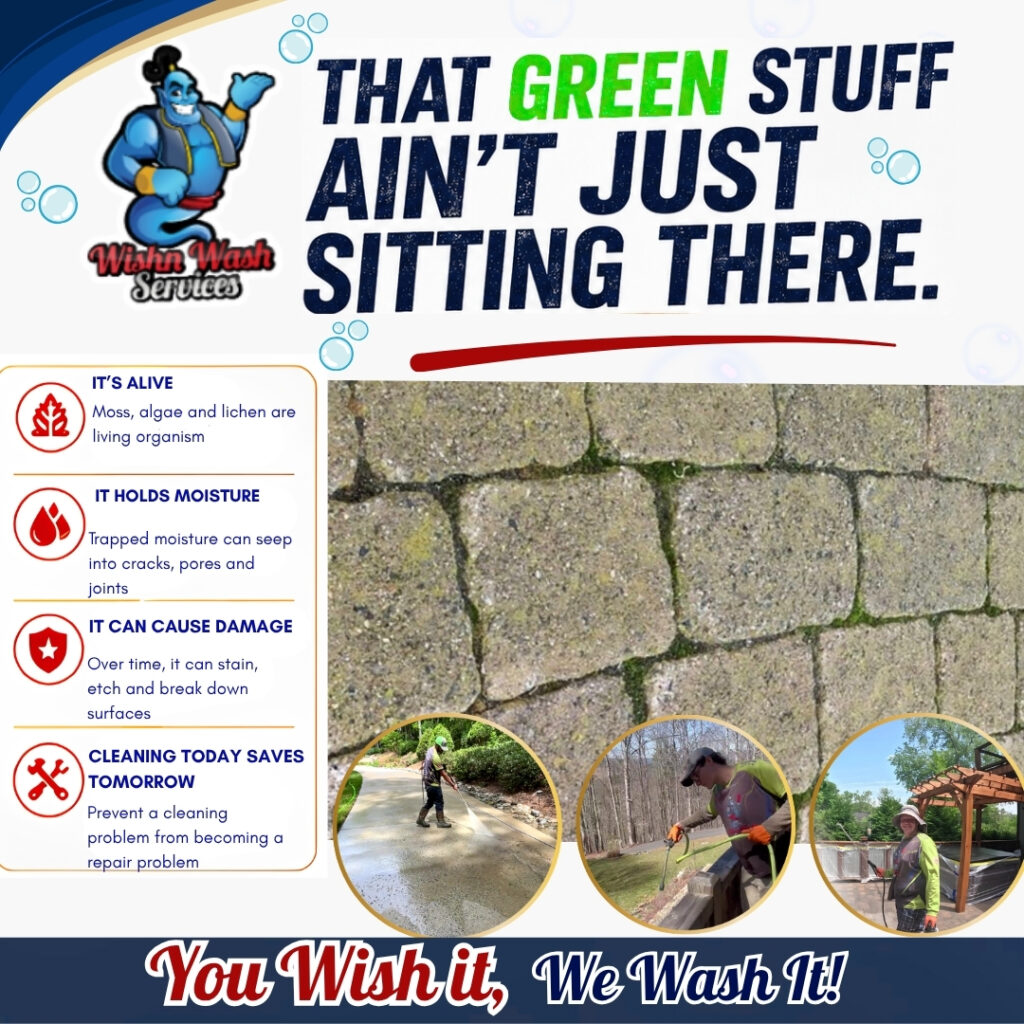THAT GREEN STUFF AIN’T JUST SITTING THERE (1)