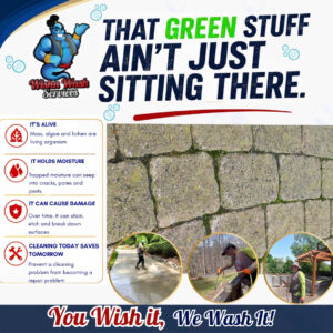THAT GREEN STUFF AIN’T JUST SITTING THERE (1)